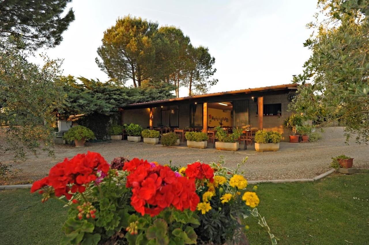 Agriturismo Bellosguardo Reggello Εξωτερικό φωτογραφία